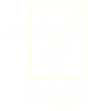 Axel Knight